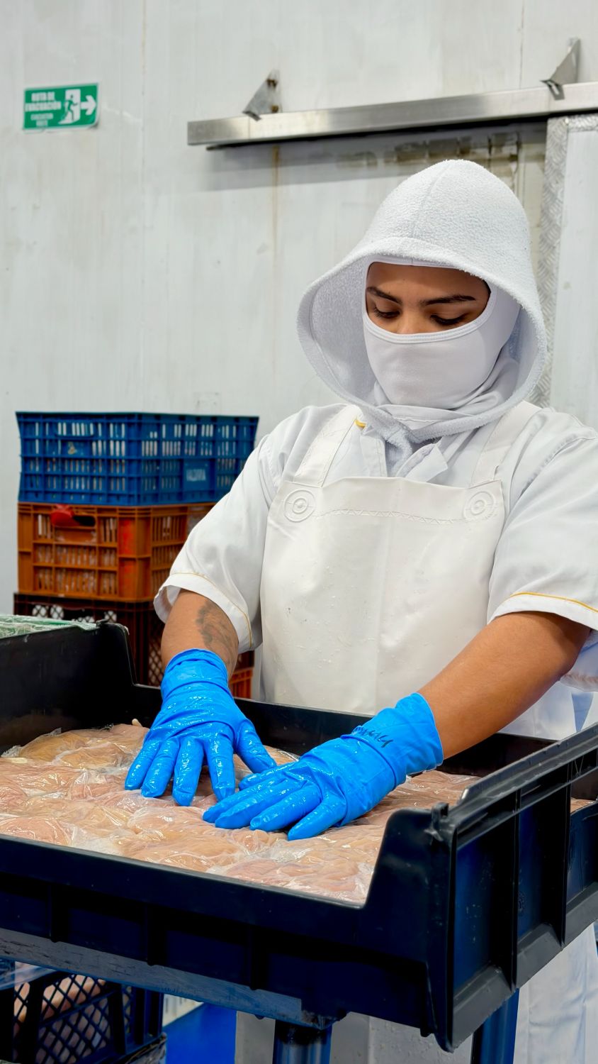 Operaria de Pinkes con uniforme completo y guantes acomoda porciones de filete de pollo empacadas individualmente en una canastilla de la planta